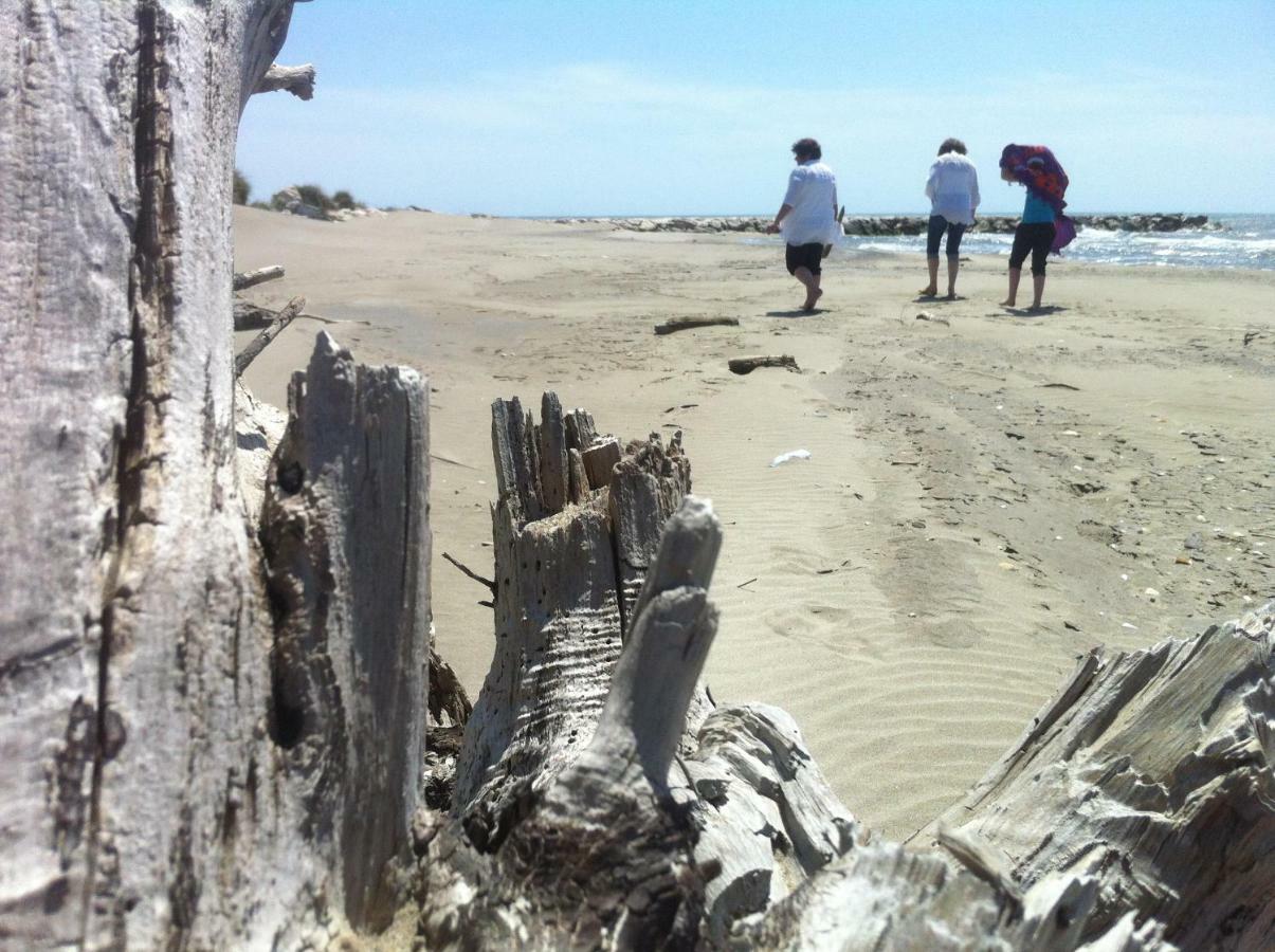 مبيت وإفطار سالين دي جيرو Maebrilu Camargue Provence المظهر الخارجي الصورة
