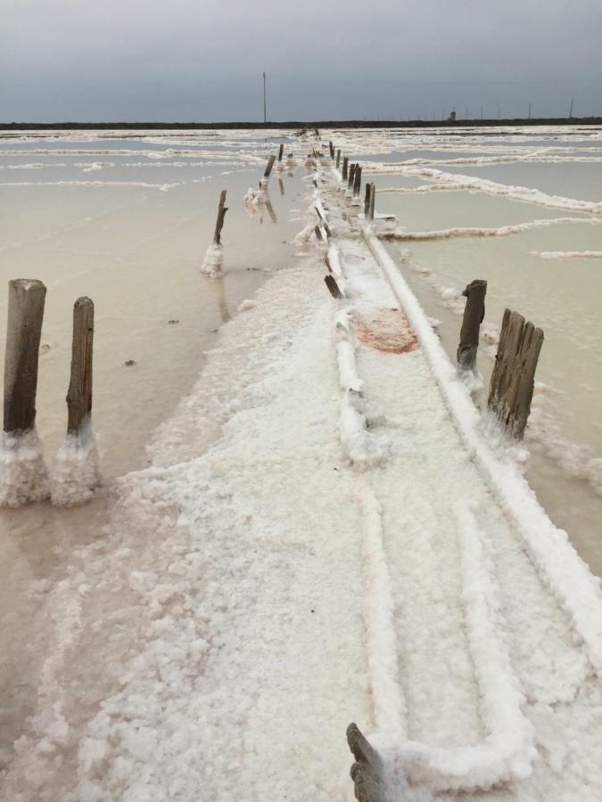 مبيت وإفطار سالين دي جيرو Maebrilu Camargue Provence المظهر الخارجي الصورة