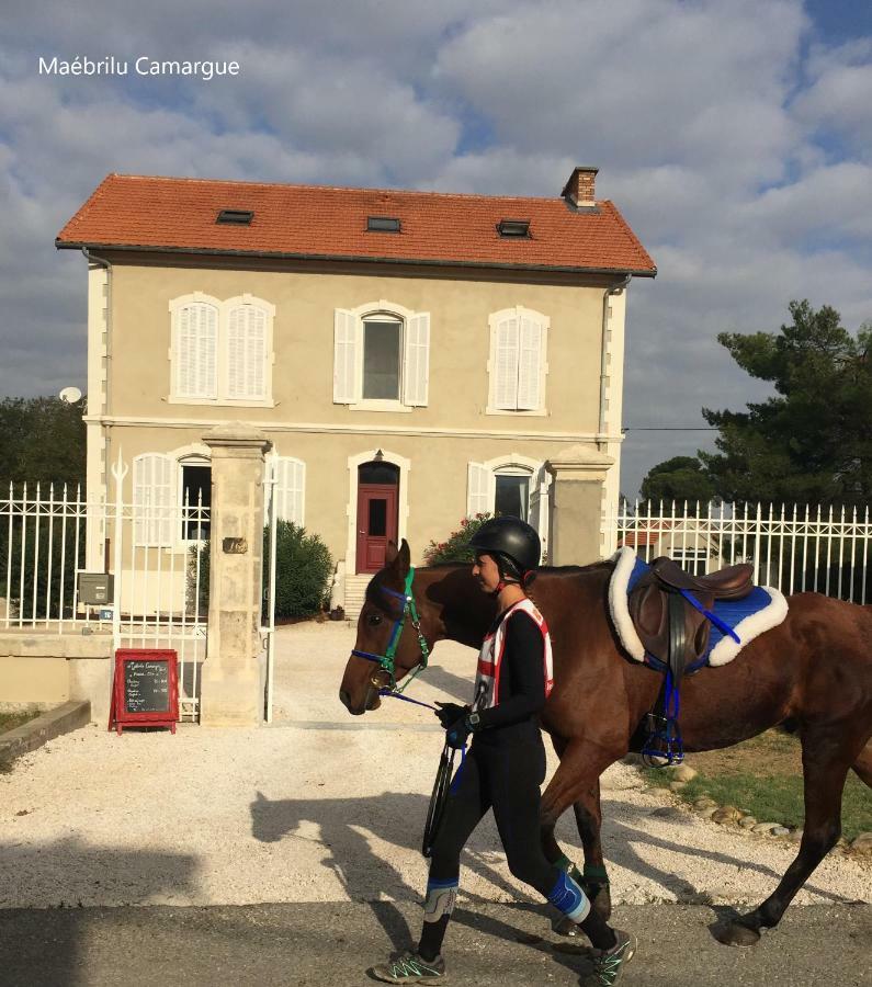 مبيت وإفطار سالين دي جيرو Maebrilu Camargue Provence المظهر الخارجي الصورة