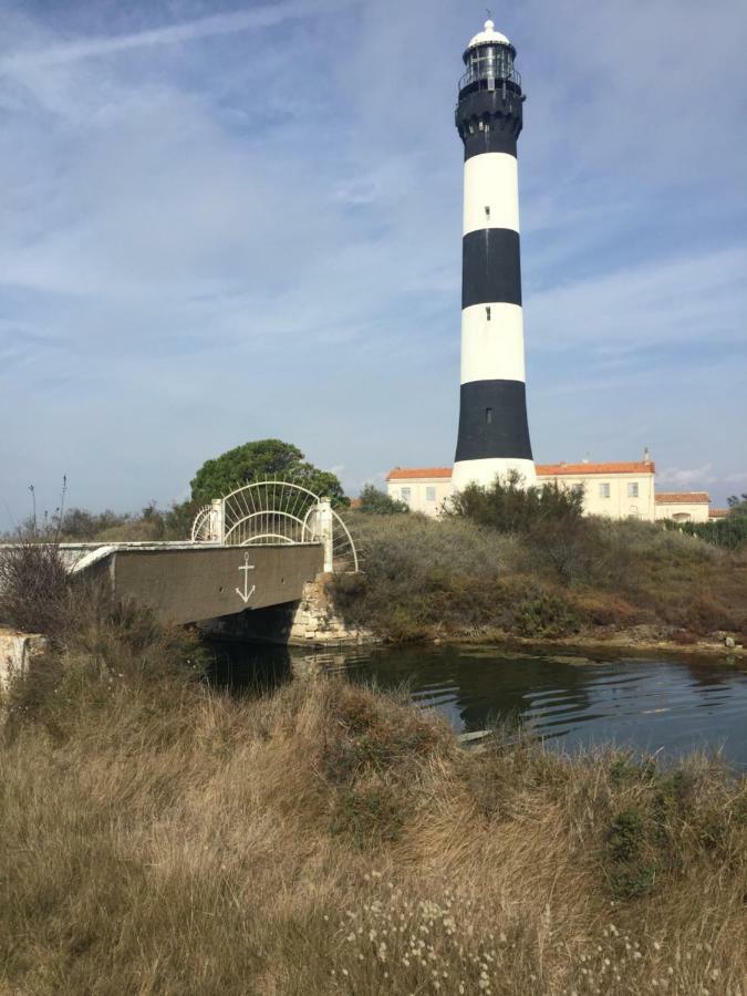 مبيت وإفطار سالين دي جيرو Maebrilu Camargue Provence المظهر الخارجي الصورة