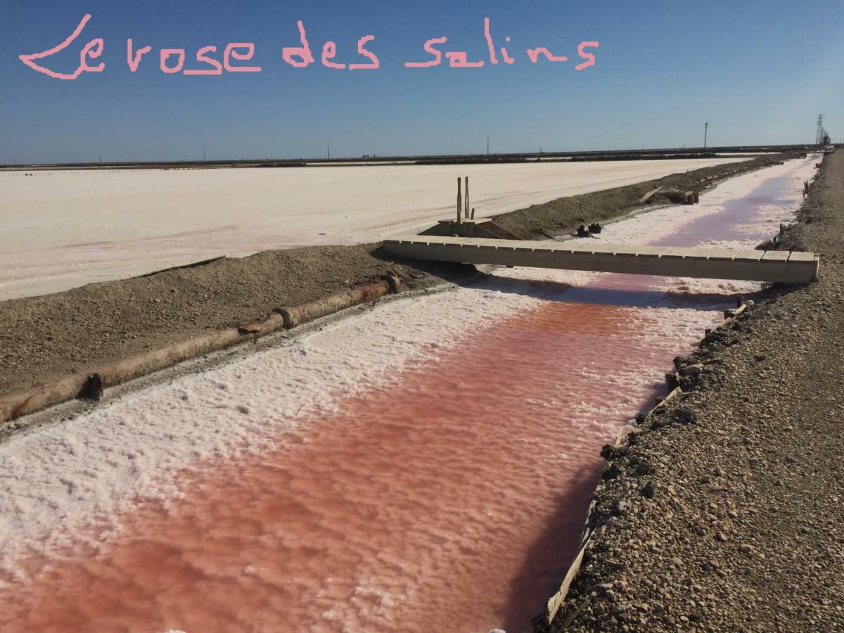 مبيت وإفطار سالين دي جيرو Maebrilu Camargue Provence المظهر الخارجي الصورة