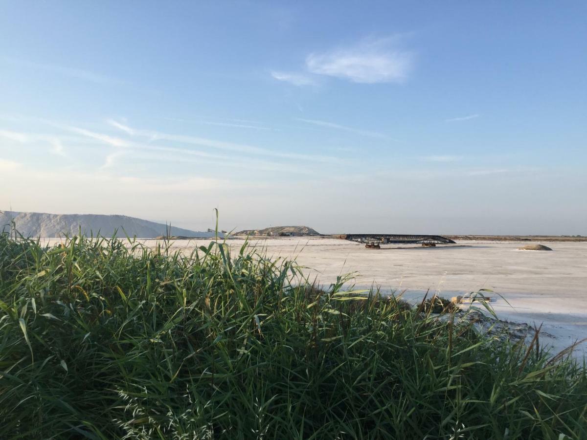مبيت وإفطار سالين دي جيرو Maebrilu Camargue Provence المظهر الخارجي الصورة